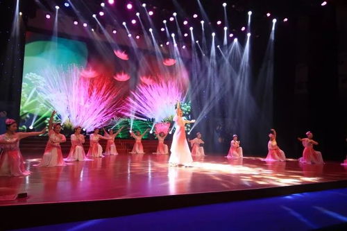 璀璨綻放，情暖鄰里——第五屆湖里區(qū)社區(qū)工作者文化節(jié)文藝晚會(huì)圓滿落幕